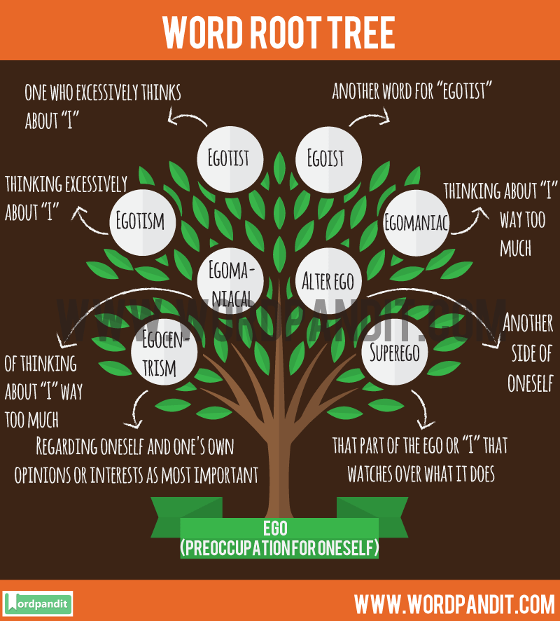 textual evidence deffinition contra root word definition