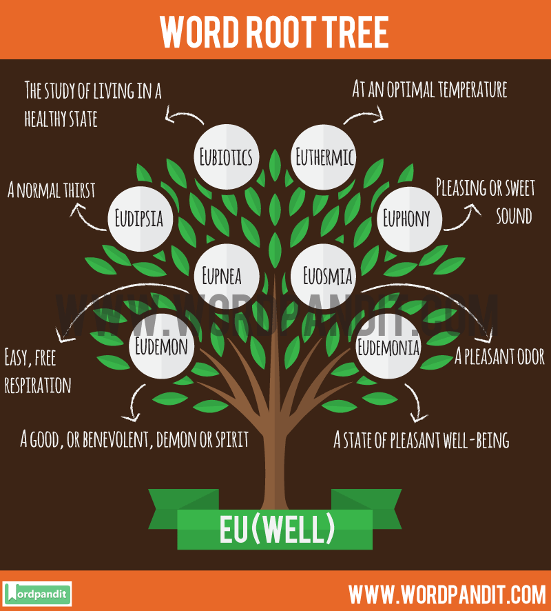 Words With The Root Word Resilire