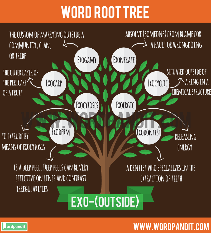 root-word-list