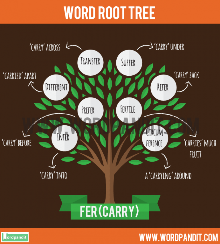 fer root words examples