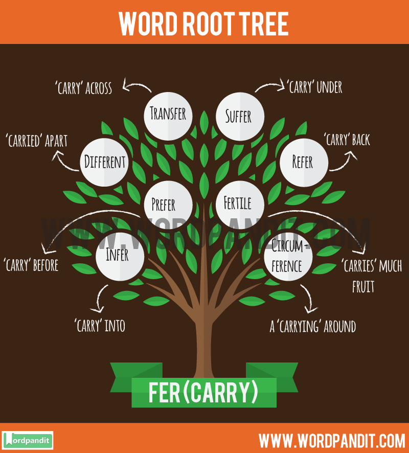 words-with-the-latin-root-spect