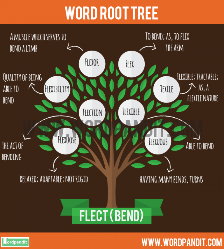 know-about-flect-root-word-and-words-based-on-this-root-flect