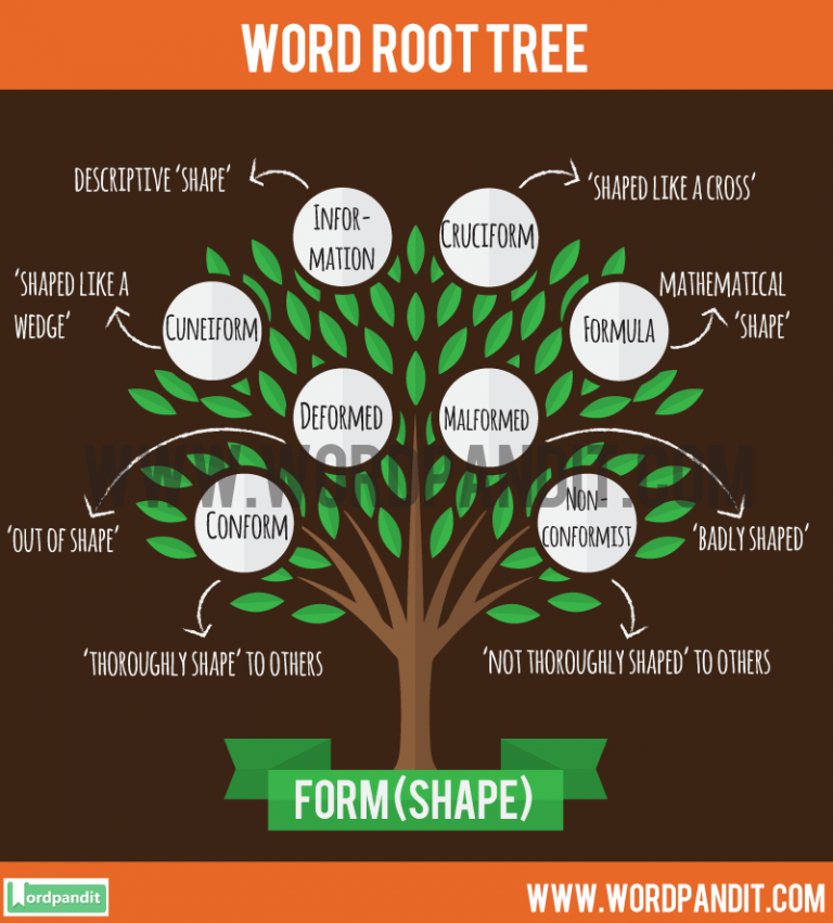 Words With Root Form In Them