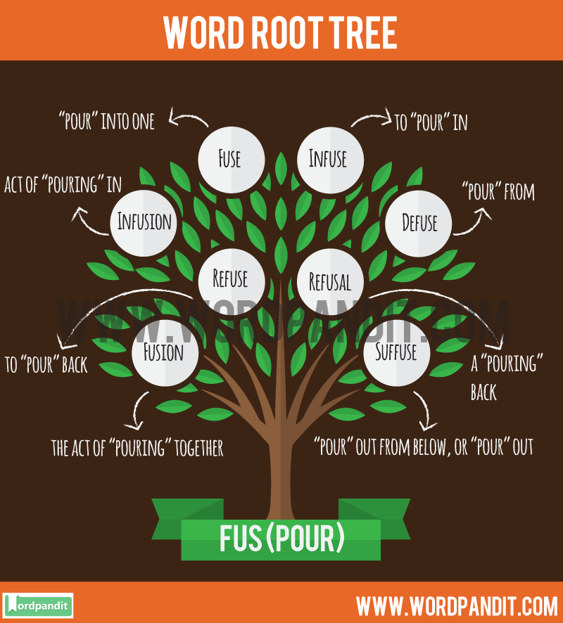 all-about-fus-root-word-list-of-words-based-on-fus-root