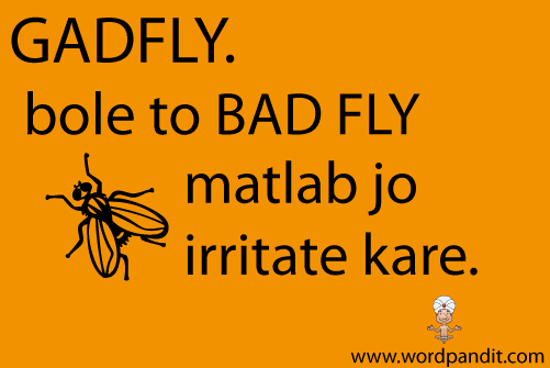 picture and mnemonic for gadfly