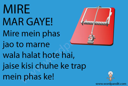 Meaning Of Mire
