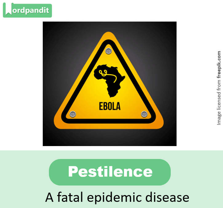 Daily Vocabulary from The Hindu June 25, 2019 Wordpandit